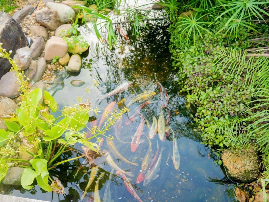 Bàn ăn ngoài trời cho gia đình trong sân vườn nhà hàng
