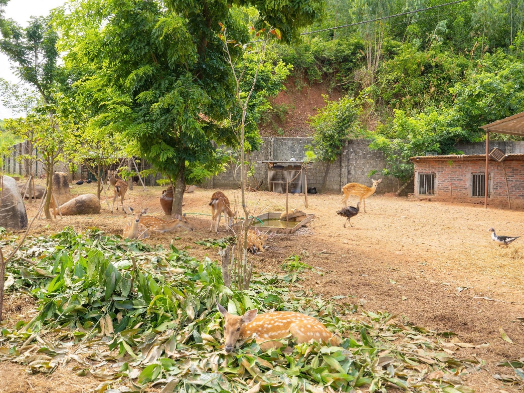 Khu chăn nuôi của nhà hàng